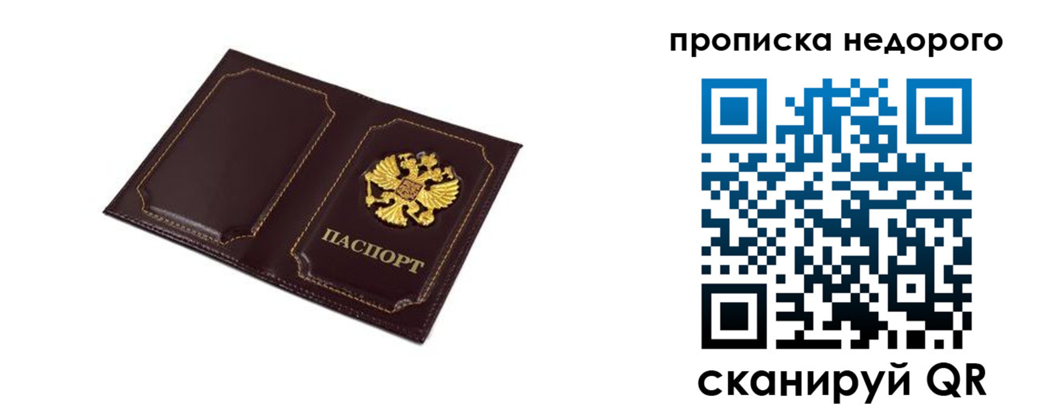 пропишу в квартире в Клинцах
